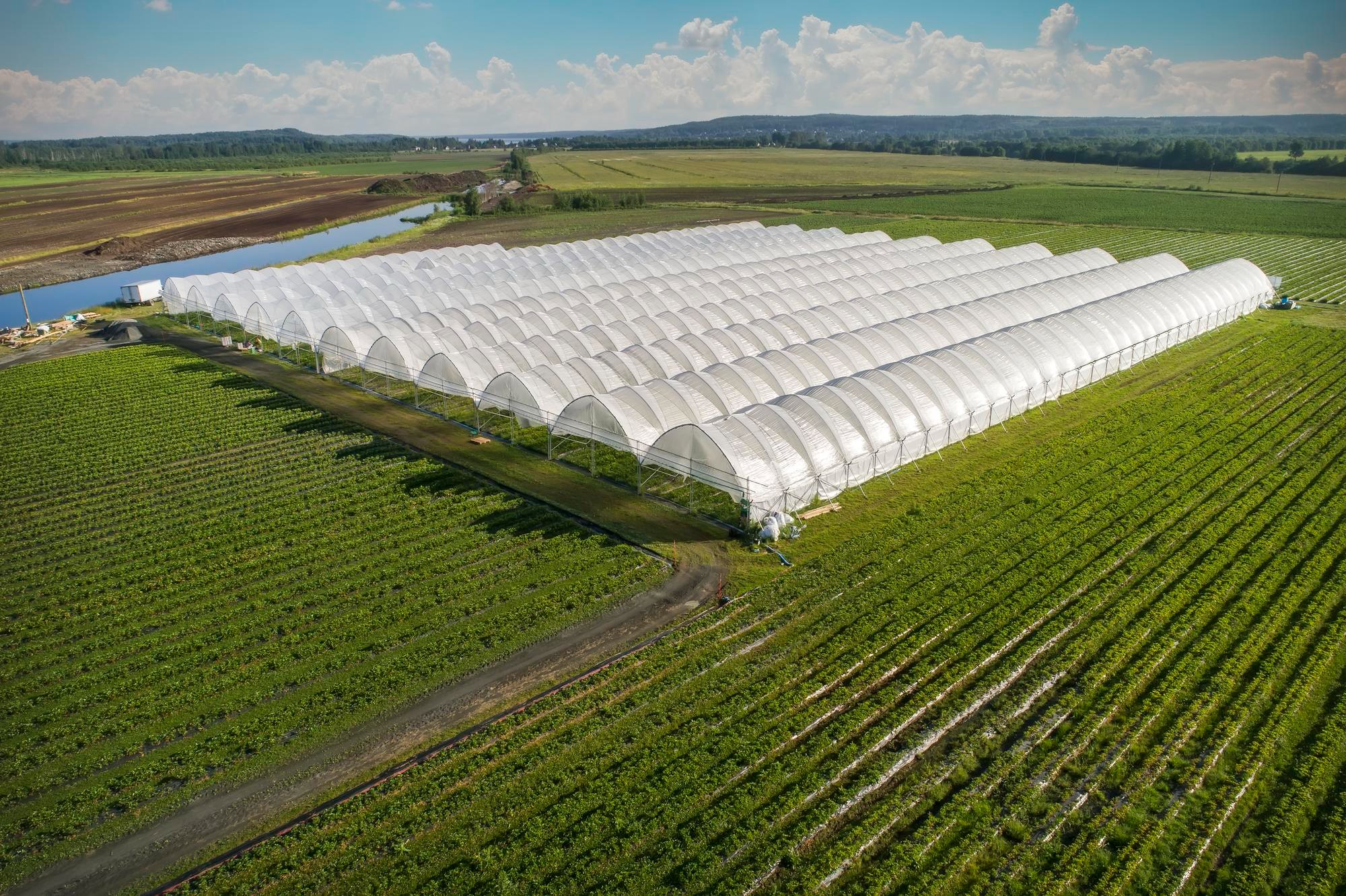 Aerial view of a large commercial polyhouse complex