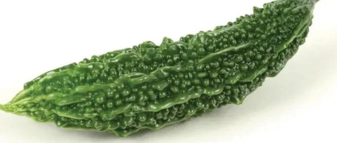 Bitter Gourd crop grown from KBS seed