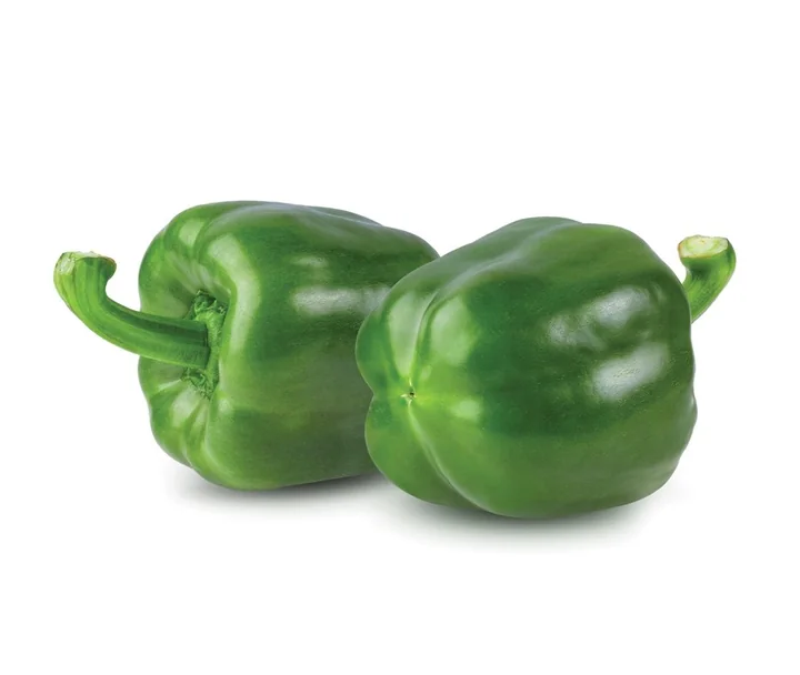Green capsicum variety KCSH-1201