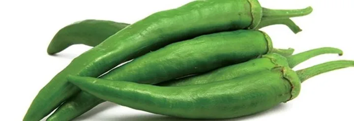 Chilli grown from KBS hybrid seed