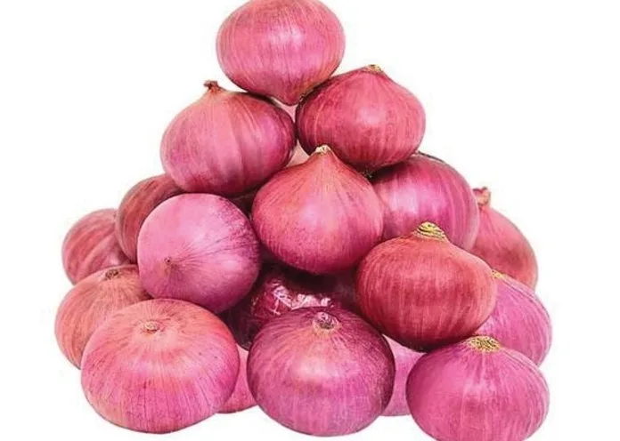 Onion KOH-401