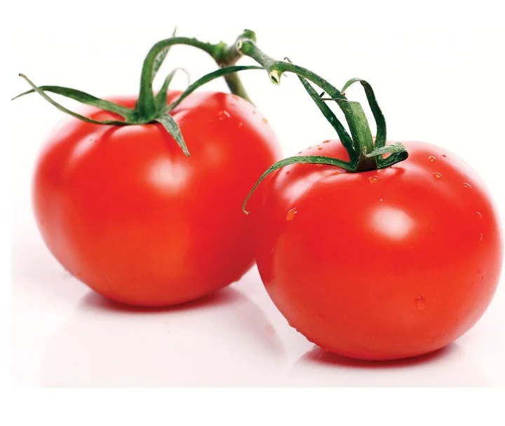 Red tomato variety KTH-103